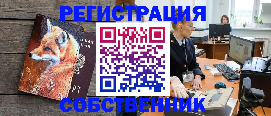 прописка поиск в Ростове-на-Дону